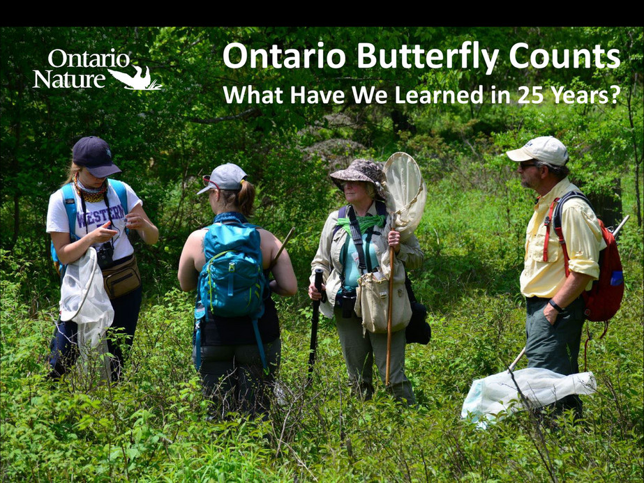 ON Nature magazine Ontario Butterfly Counts Page 1
