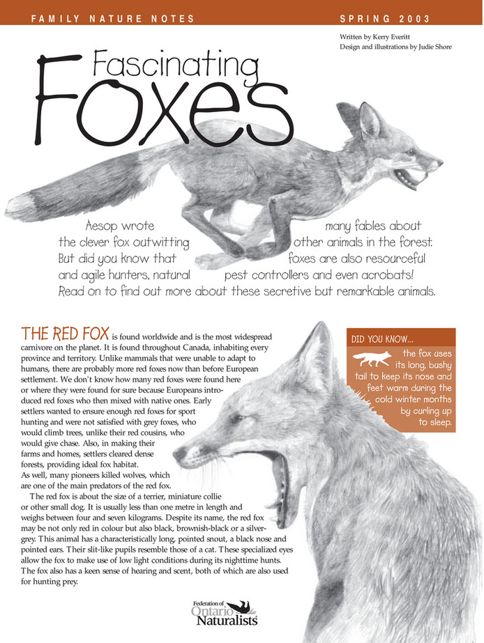 3088c57c-0532-434c-ae53-