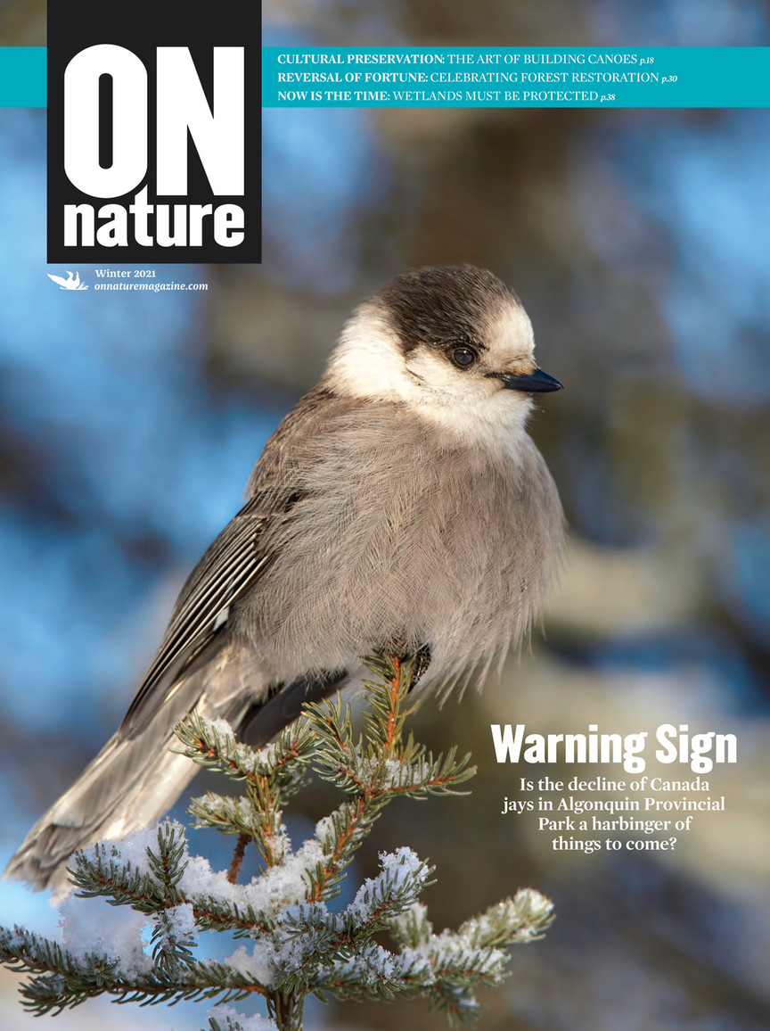 ON Nature Magazine – Winter 2021 - Page 1