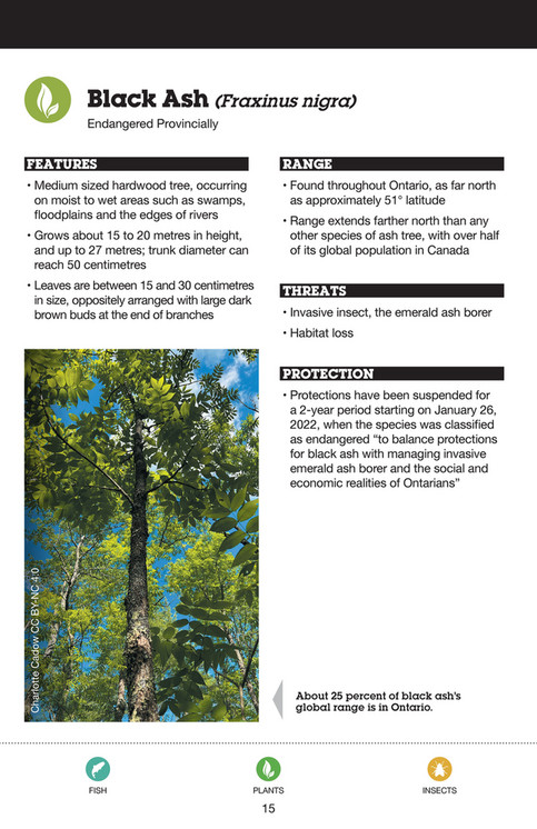 Species at Risk in Northern Ontario Nature Guide - Page 16-17