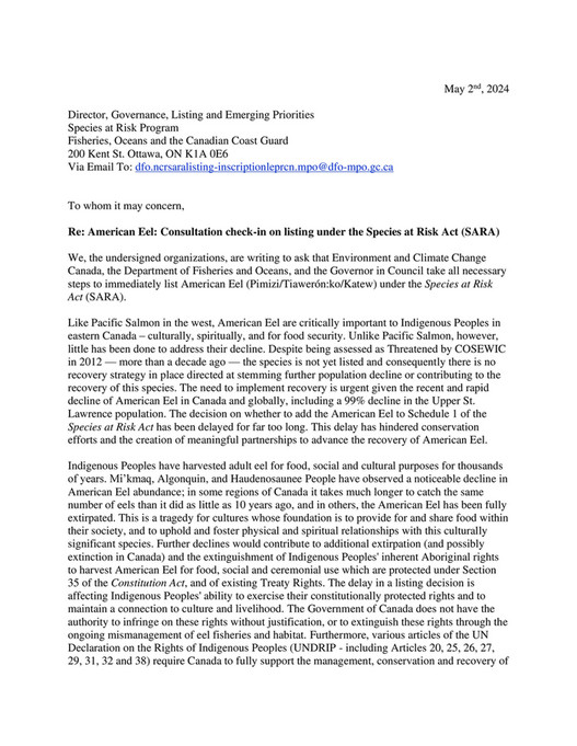 Joint letter to list American Eel under the Species at Risk Act - Page 1