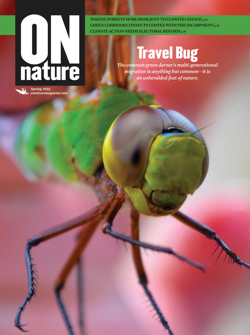 ON Nature magazine - Spring 2025 - Page 1
