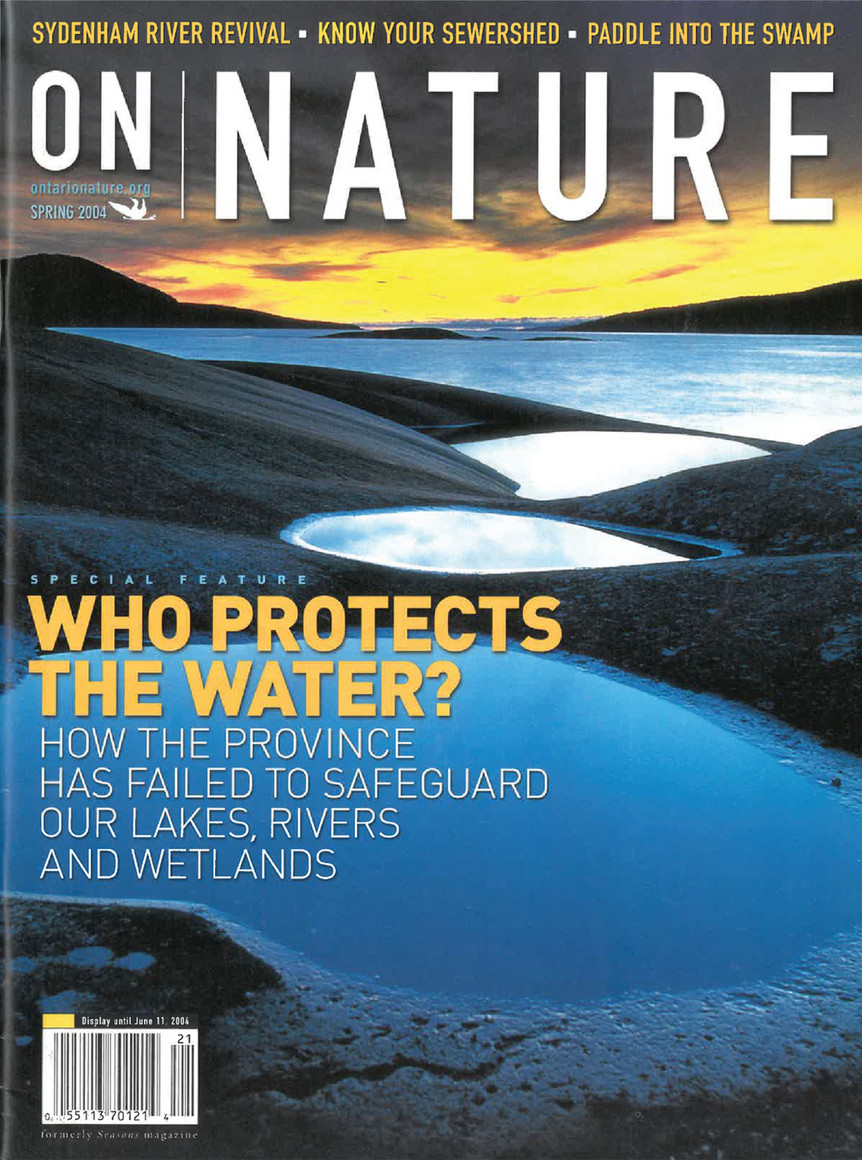 Nature Magazine Front Cover