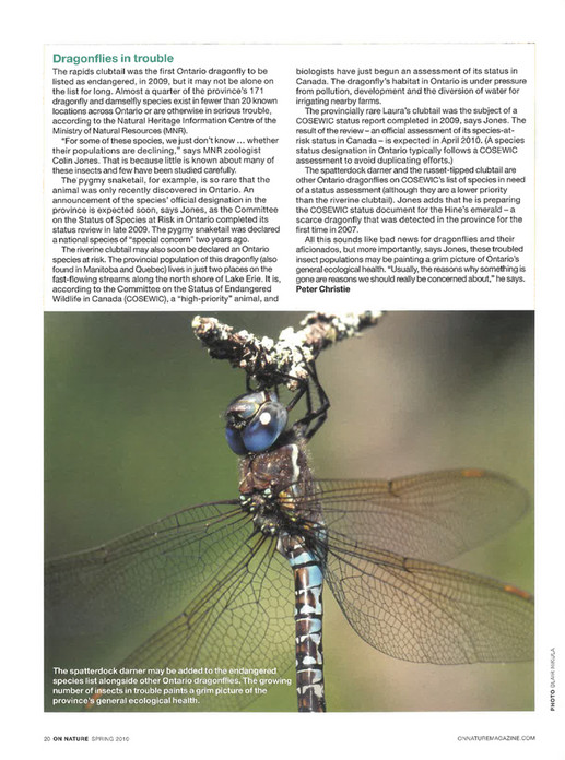 Rapids Insect ON Nature magazine - Spring_2010 - Page 18-19