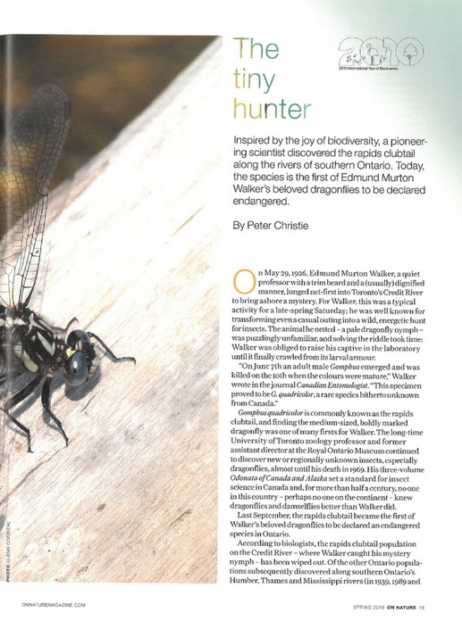 Rapids Insect ON Nature magazine - Spring_2010 - Page 18-19